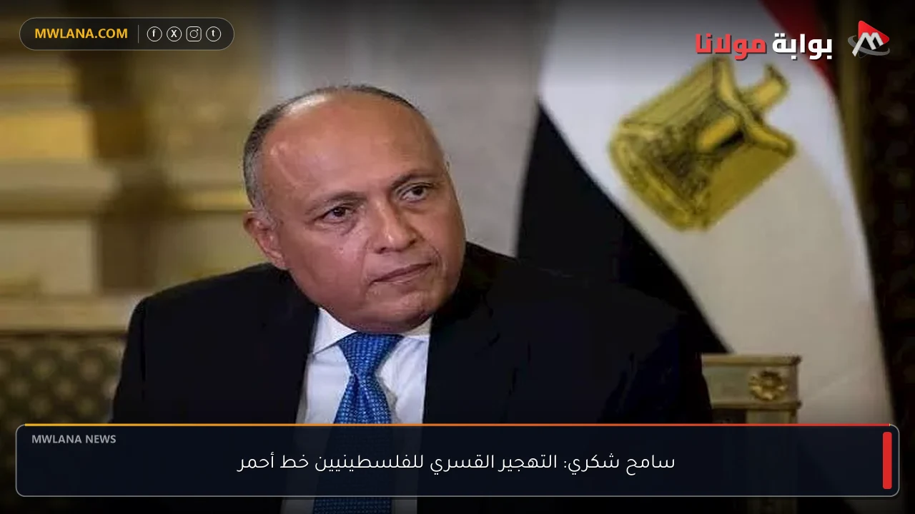سامح شكري: التهجير القسري للفلسطينيين خط أحمر
