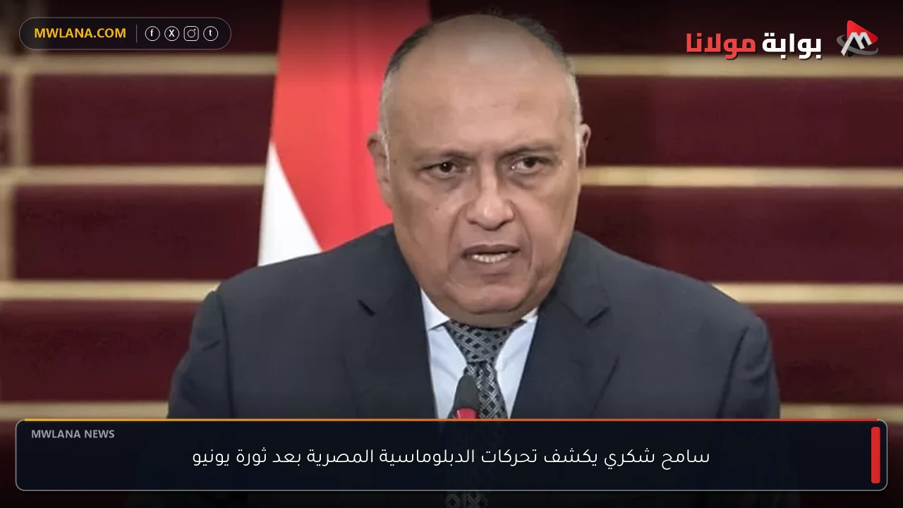 سامح شكري يكشف تحركات الدبلوماسية المصرية بعد ثورة يونيو
