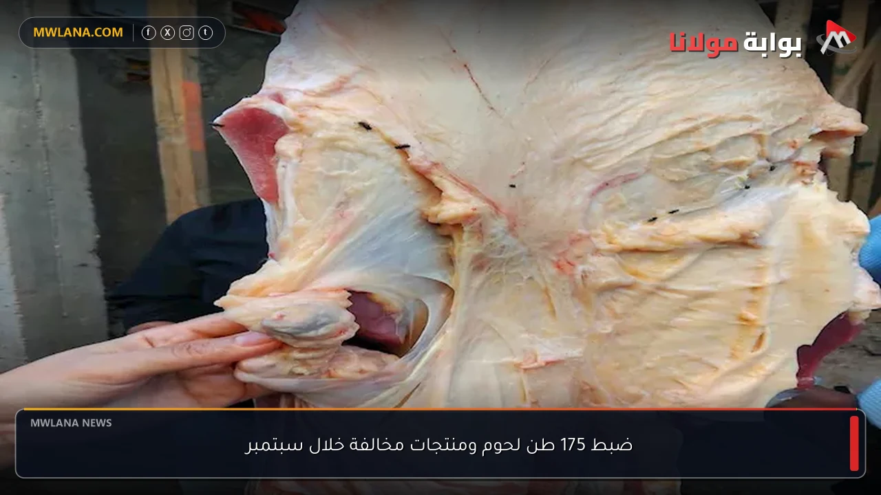 ضبط 175 طن لحوم ومنتجات مخالفة خلال سبتمبر