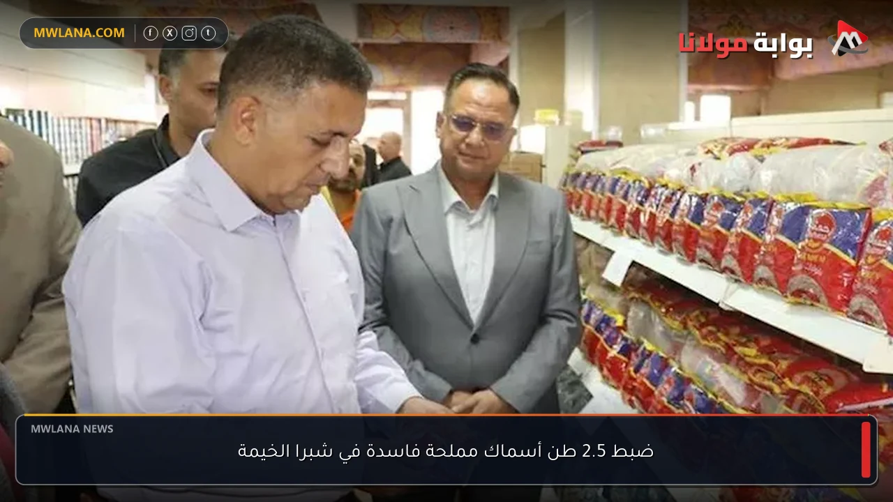 ضبط 2.5 طن أسماك مملحة فاسدة في شبرا الخيمة