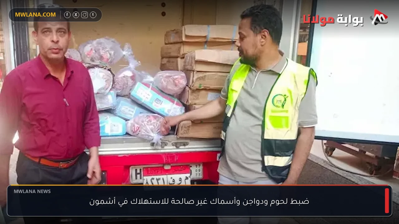 ضبط لحوم ودواجن وأسماك غير صالحة للاستهلاك في أشمون