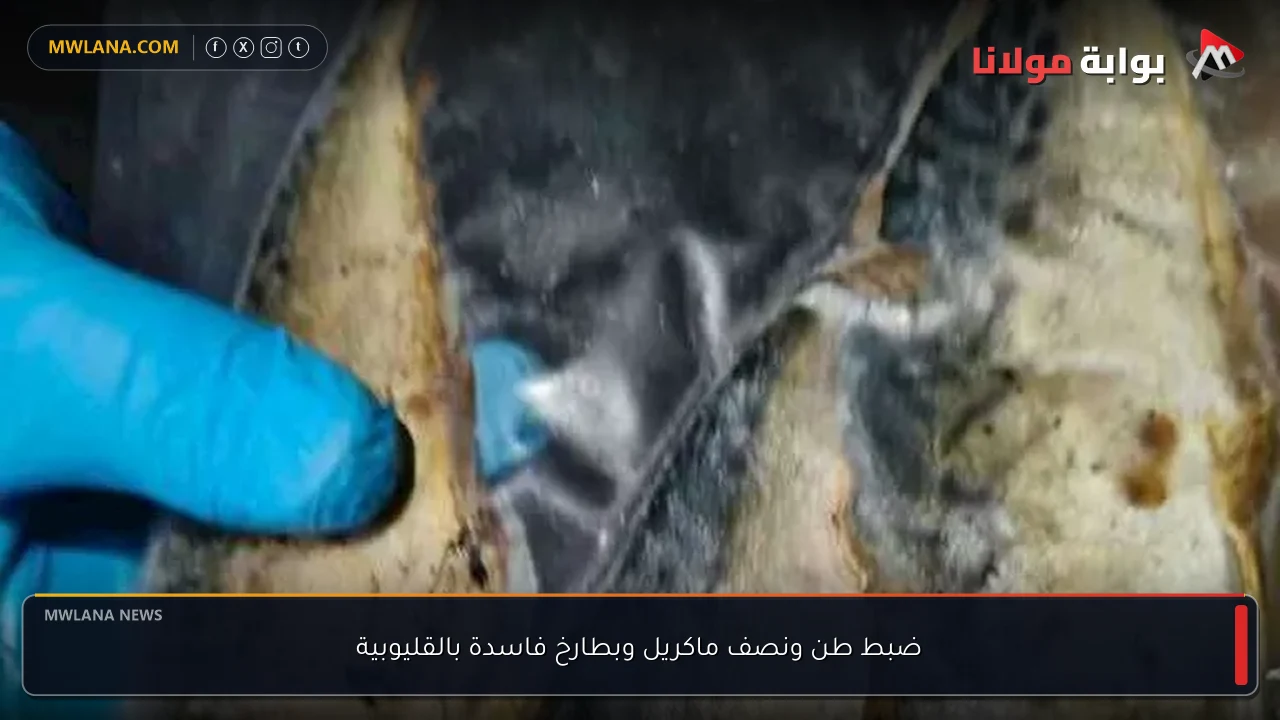 ضبط طن ونصف ماكريل وبطارخ فاسدة بالقليوبية