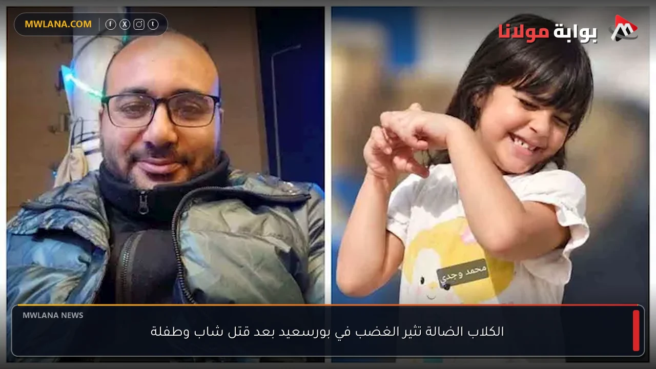 الكلاب الضالة تثير الغضب في بورسعيد بعد قتل شاب وطفلة