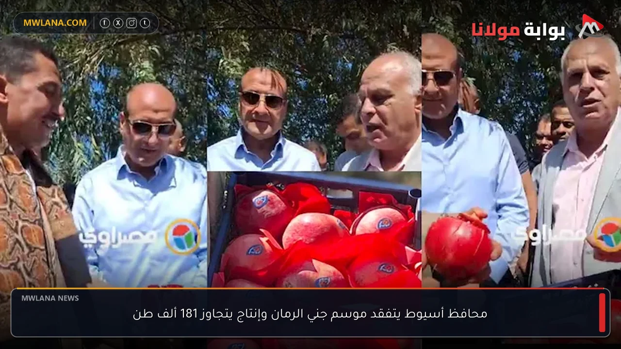 محافظ أسيوط يتفقد موسم جني الرمان وإنتاج يتجاوز 181 ألف طن