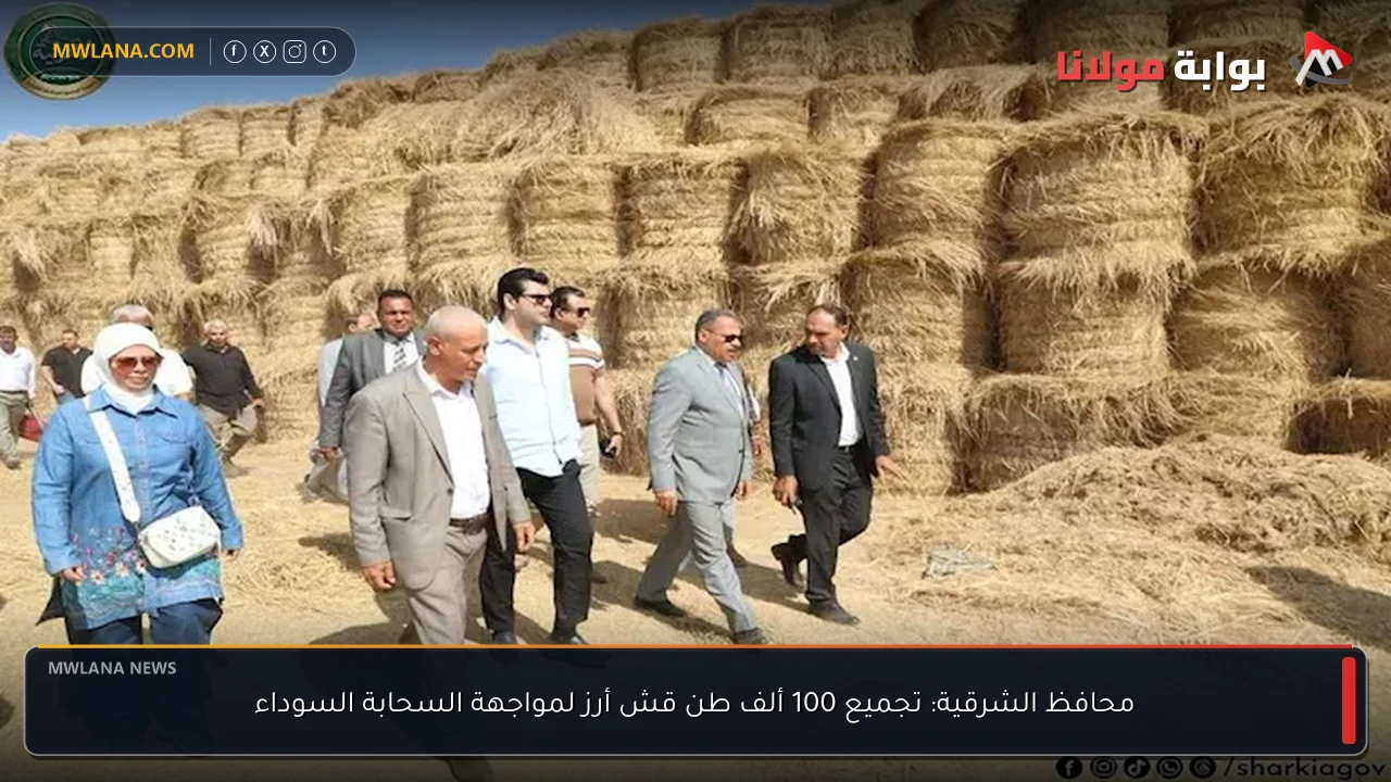 محافظ الشرقية: تجميع 100 ألف طن قش أرز لمواجهة السحابة السوداء