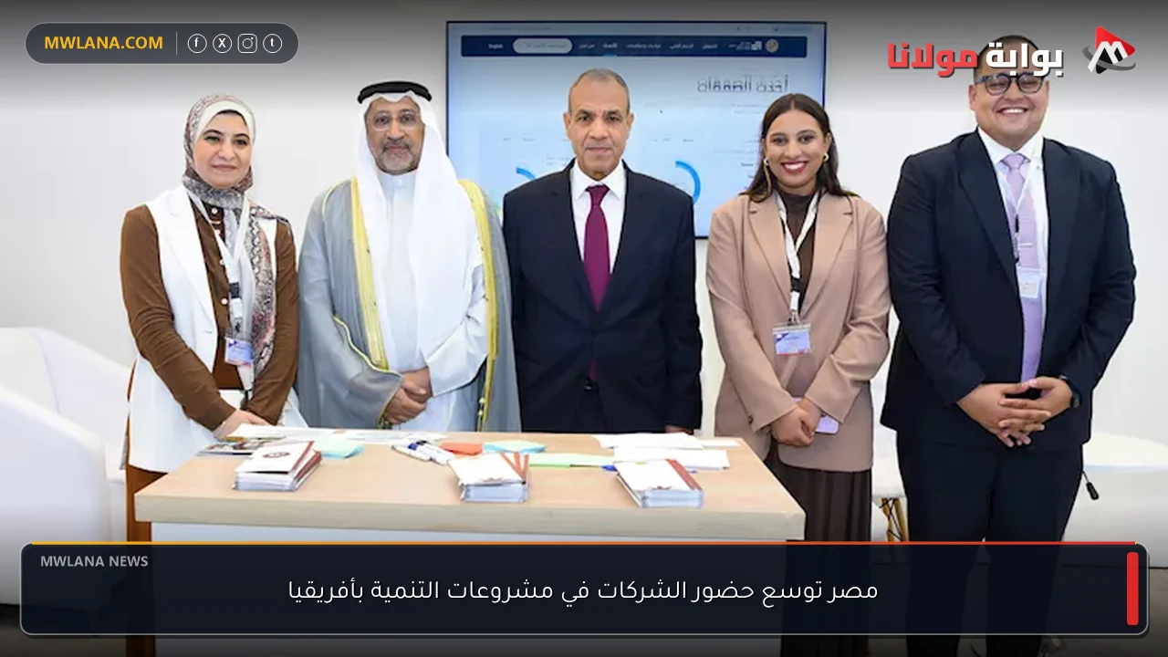 مصر توسع حضور الشركات في مشروعات التنمية بأفريقيا