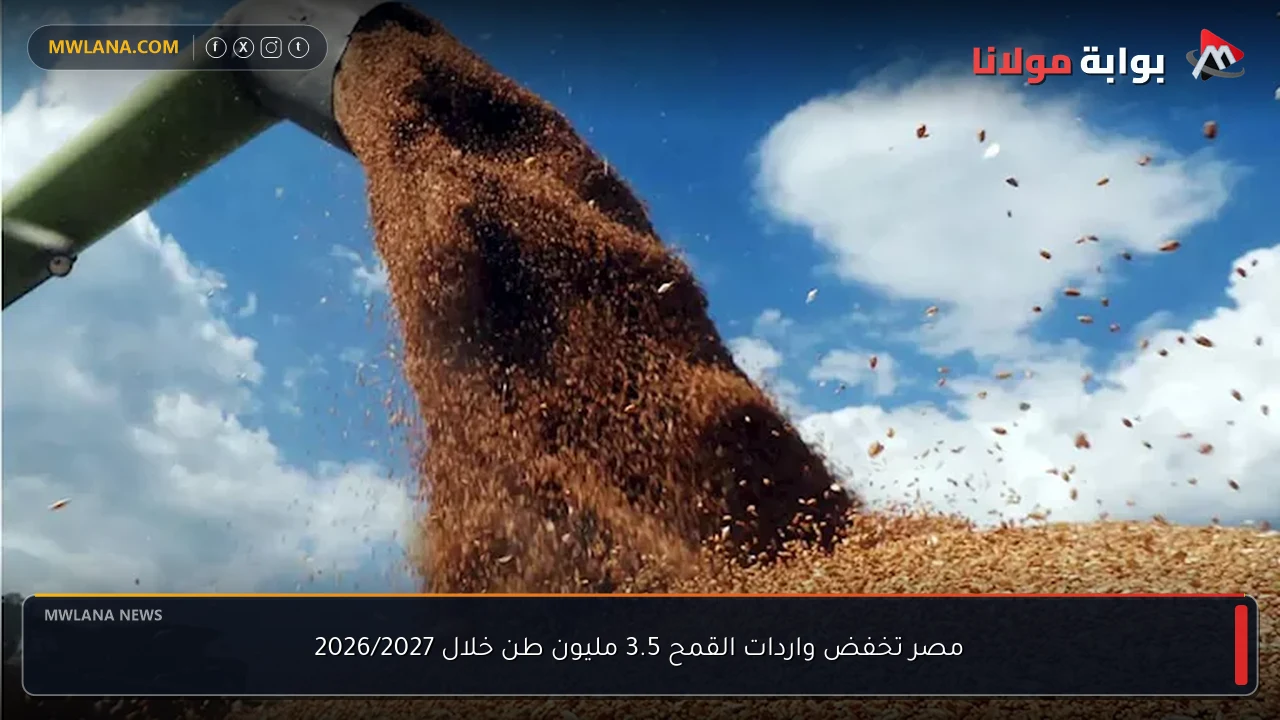 مصر تخفض واردات القمح 3.5 مليون طن خلال 2026/2027