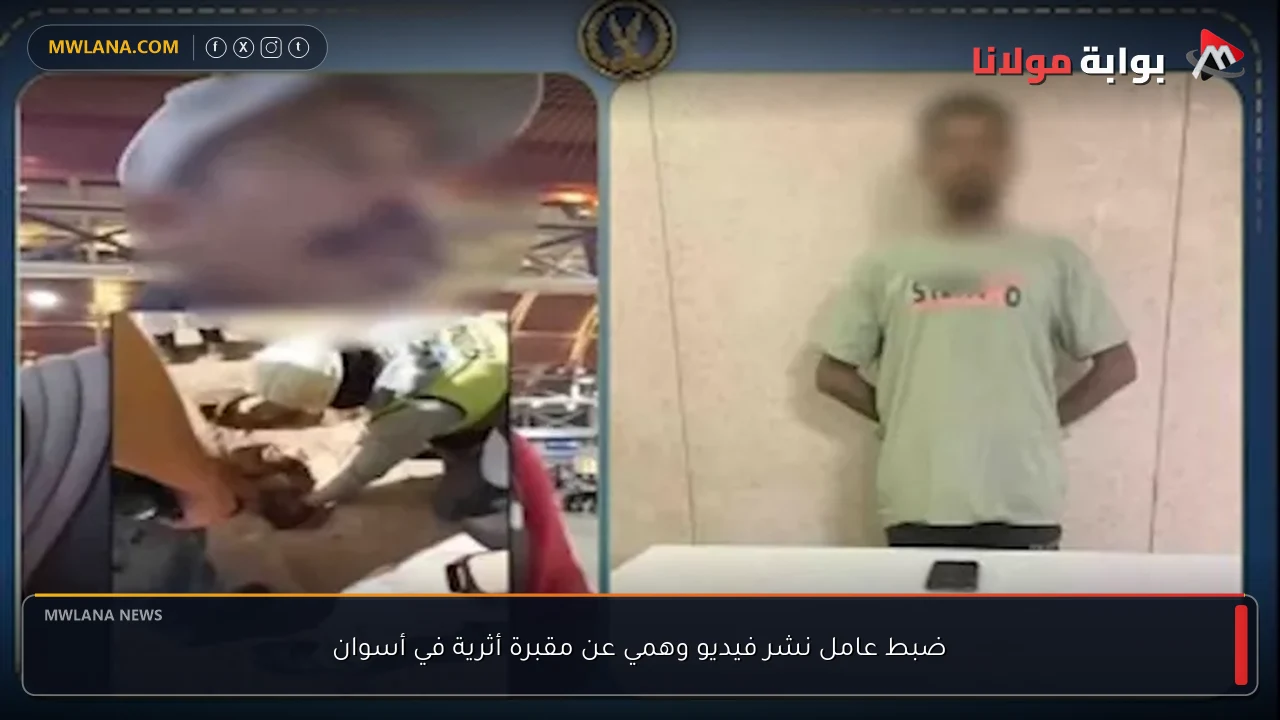 ضبط عامل نشر فيديو وهمي عن مقبرة أثرية في أسوان