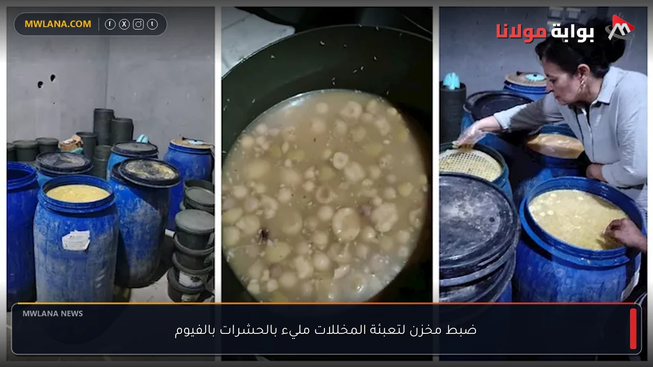 ضبط مخزن لتعبئة المخللات مليء بالحشرات بالفيوم