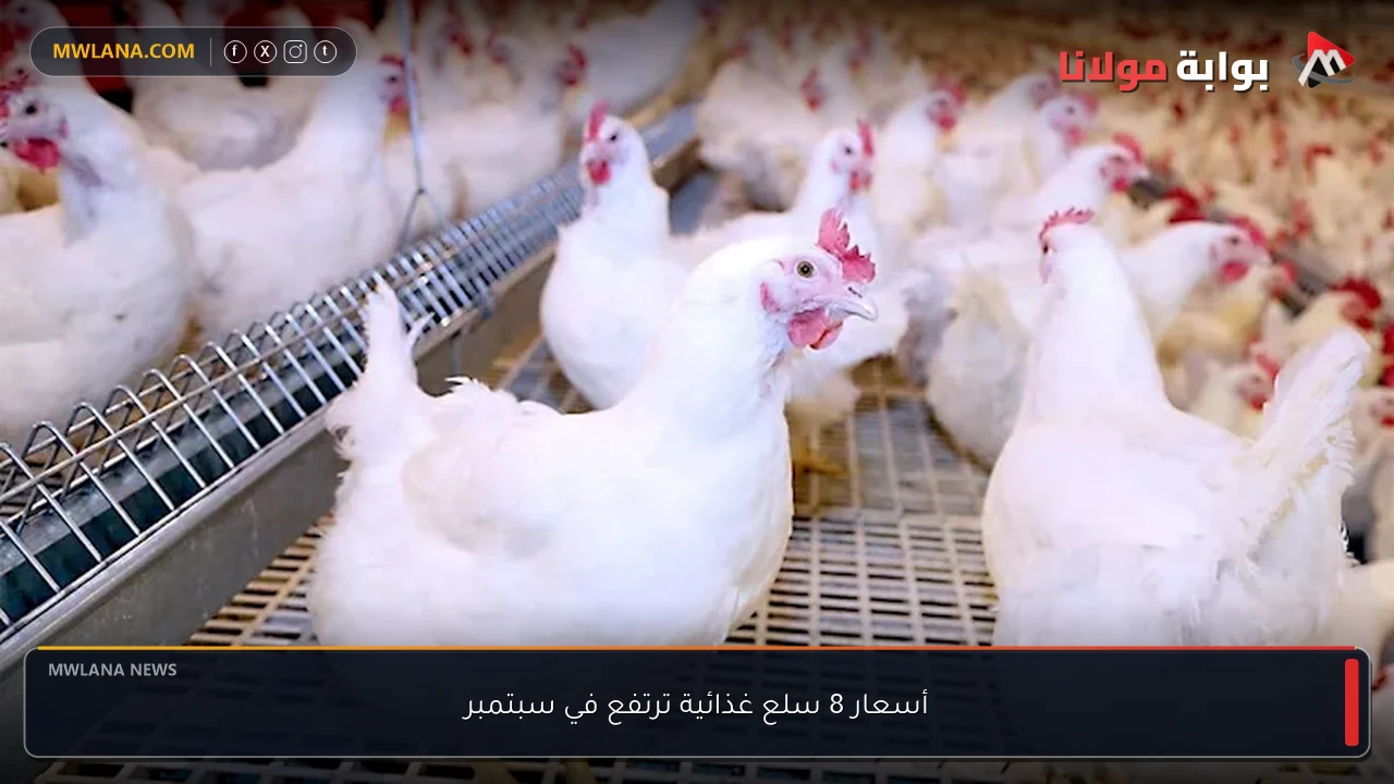 أسعار 8 سلع غذائية ترتفع في سبتمبر