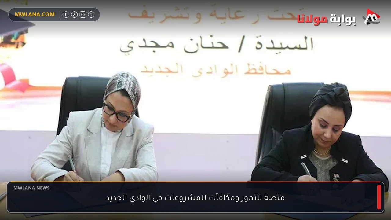 منصة للتمور ومكافآت للمشروعات في الوادي الجديد
