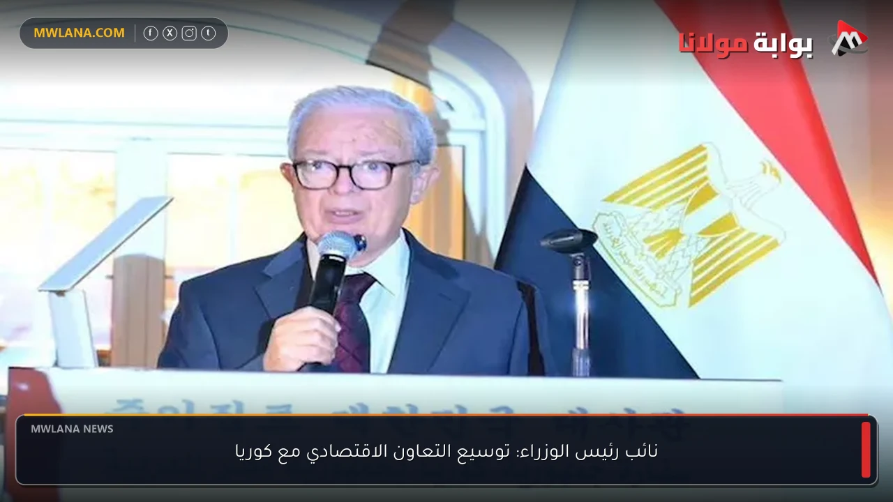 نائب رئيس الوزراء: توسيع التعاون الاقتصادي مع كوريا