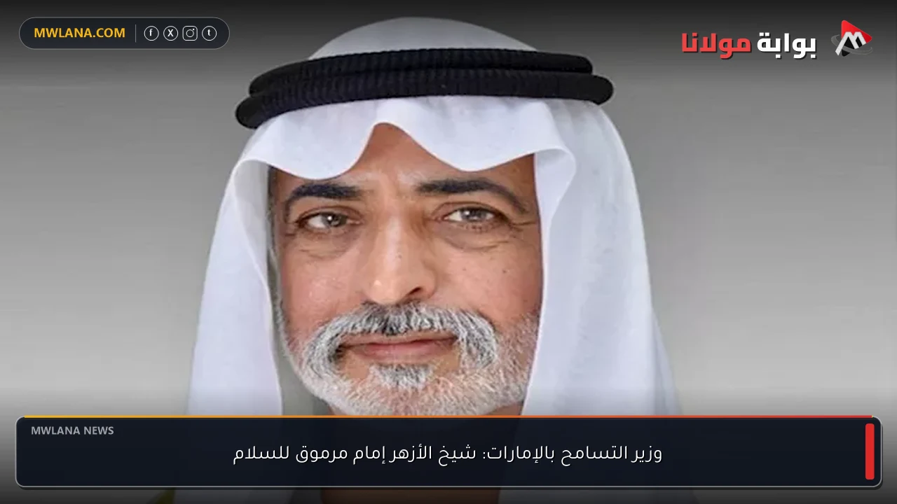 وزير التسامح بالإمارات: شيخ الأزهر إمام مرموق للسلام